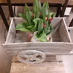 B&B nido sul mare